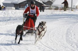 Lenk 2012 SM